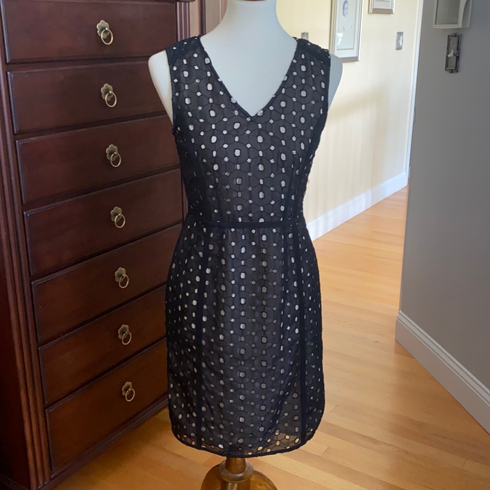 Limited black eye-lit above the knee dress.